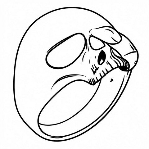 Skull Ring Style R2