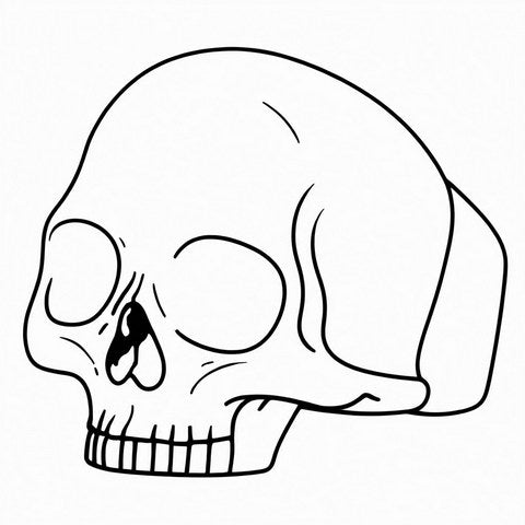 Skull Ring Style R20