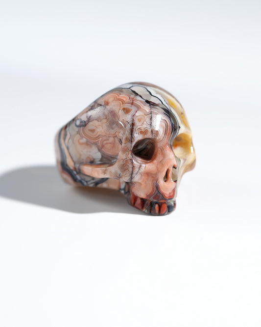 Gem Skull Ring of Red Crazy Lace Agate Carved Skull, US size 7 - 9800119