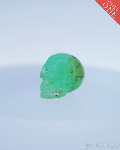 0.5’’ Chrysoprase Carved Gem Skull Skullis Realistic - 9800102 Tiny Gemstone