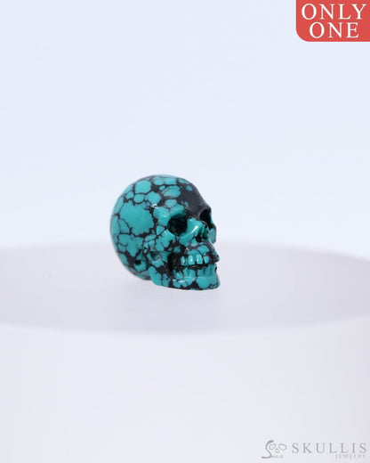 0.5’’ Turquoise Carved Gem Skull Skullis Realistic - 0800046 Tiny Gemstone Skull