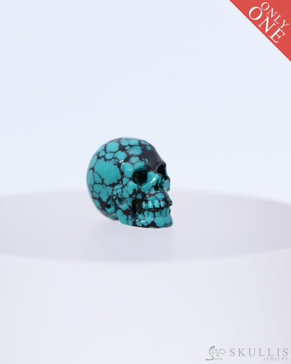 0.5’’ Turquoise Carved Gem Skull Skullis Realistic - 0800046 Tiny Gemstone Skull