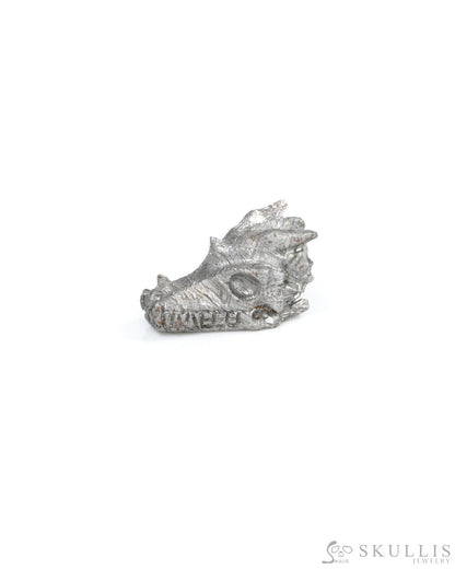 0.6’’ Sweden Meteorite Hand Carved Crystal Dragon Skull Sculpture - 9500208 Tiny Gemstone Skull