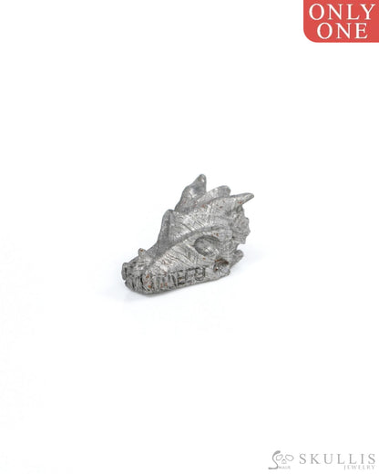 0.6’’ Sweden Meteorite Hand Carved Crystal Dragon Skull Sculpture - 9500208 Tiny Gemstone Skull