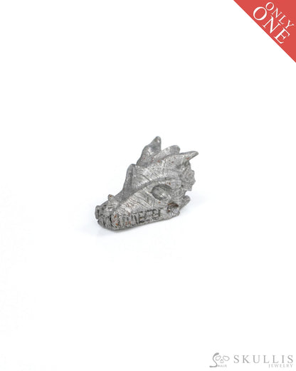 0.6’’ Sweden Meteorite Hand Carved Crystal Dragon Skull Sculpture - 9500208 Tiny Gemstone Skull