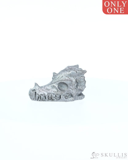 0.6’’ Sweden Meteorite Hand Carved Crystal Dragon Skull Sculpture - 9800203 Tiny Gemstone Skull
