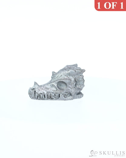 0.6’’ Sweden Meteorite Hand Carved Crystal Dragon Skull Sculpture - 9800203 Tiny Gemstone Skull