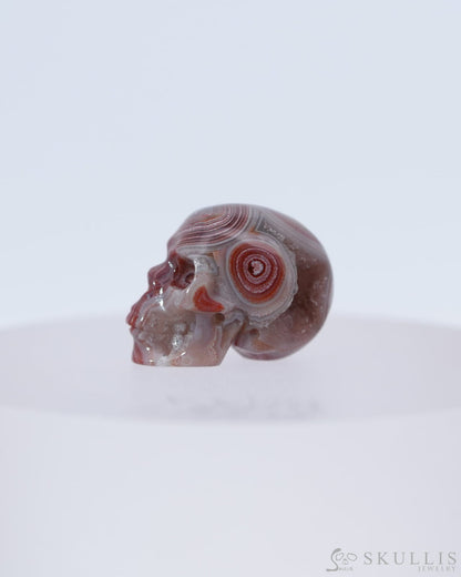 0.7’’ Red Crazy Lace Agate Carved Gem Skull Skullis Realistic - 0800044 Tiny Gemstone Skull