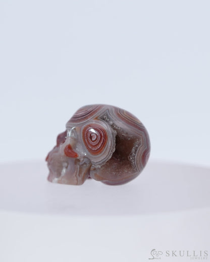 0.7’’ Red Crazy Lace Agate Carved Gem Skull Skullis Realistic - 0800044 Tiny Gemstone Skull