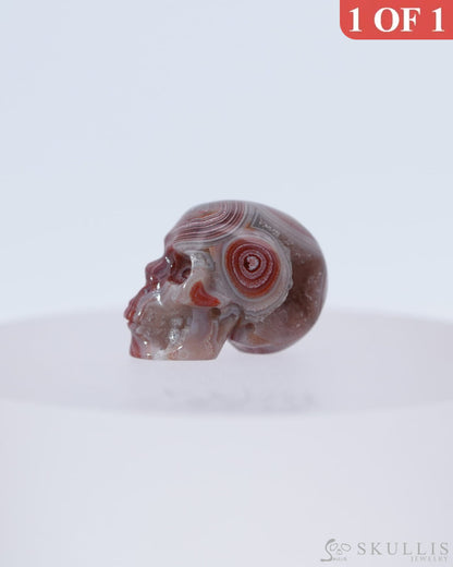 0.7’’ Red Crazy Lace Agate Carved Gem Skull Skullis Realistic - 0800044 Tiny Gemstone Skull