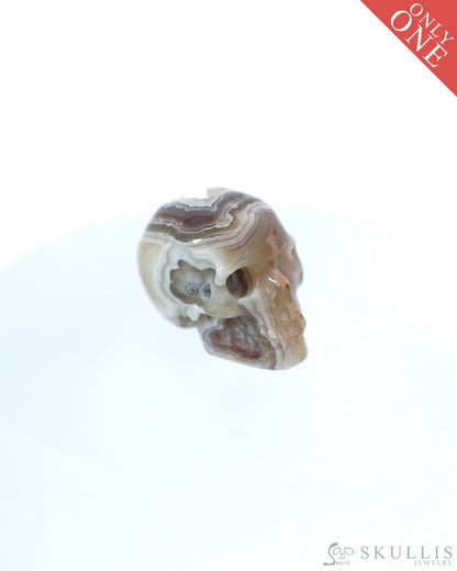0.8’’ Red Crazy Lace Agate Carved Gem Skull Skullis Realistic - 9500013 Tiny Gemstone Skull