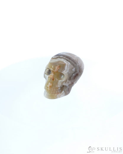 0.8’’ Red Crazy Lace Agate Carved Gem Skull Skullis Realistic - 9500013 Tiny Gemstone Skull