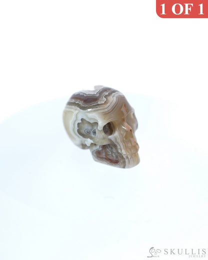 0.8’’ Red Crazy Lace Agate Carved Gem Skull Skullis Realistic - 9500013 Tiny Gemstone Skull