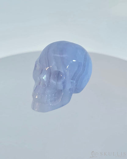 Gem Skull Of Coral Fossil Carved Realistic Tiny Gemstone