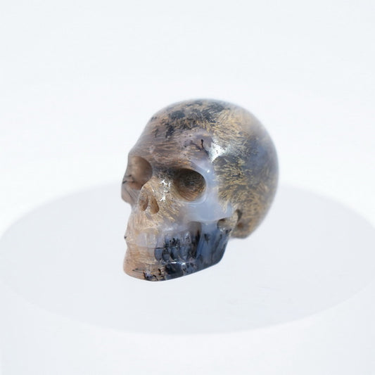 1.1" Sagenitic Agate Carved Gem Skull, Skullis Realistic - 0500035
