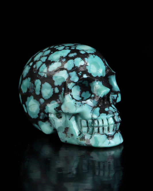 0.9" Turquoise Carved Gem Skull, Skullis Realistic - 0500068