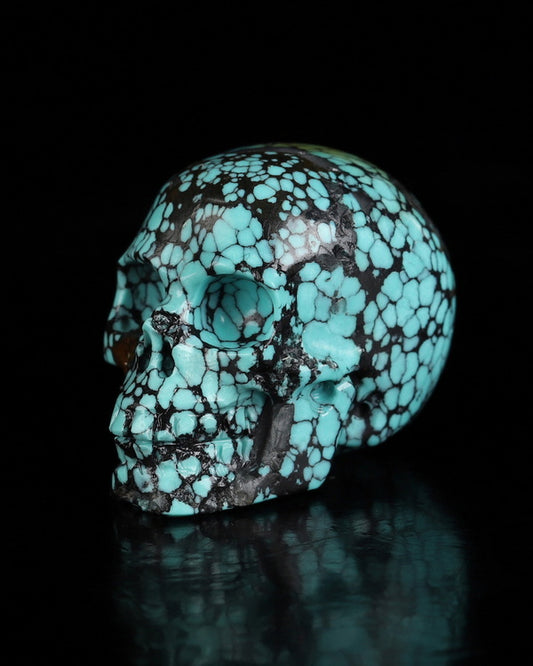 0.9" Turquoise Carved Gem Skull, Skullis Realistic - 0500069