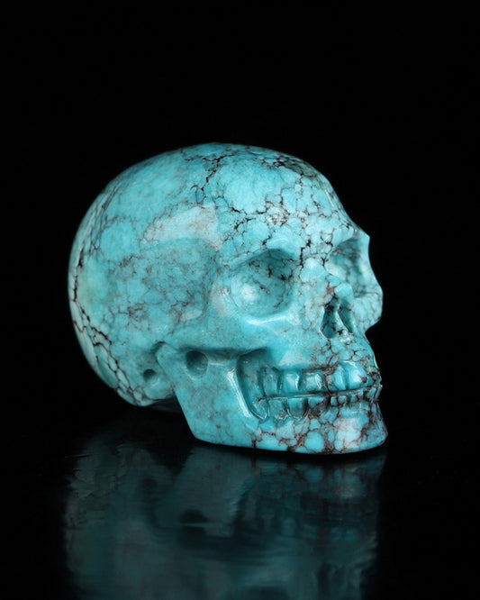 0.7" Turquoise Carved Gem Skull, Skullis Realistic - 0500070