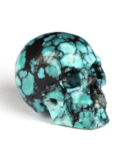 0.7" Turquoise Carved Gem Skull, Skullis Realistic - 0500071