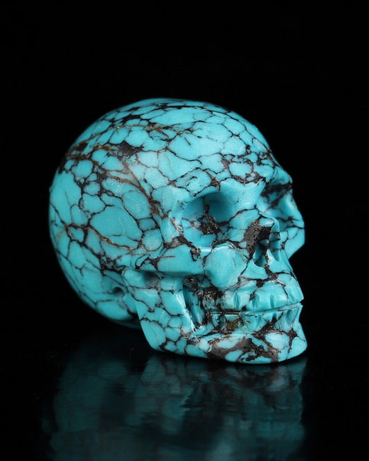 0.7" Turquoise Carved Gem Skull, Skullis Realistic - 0500072