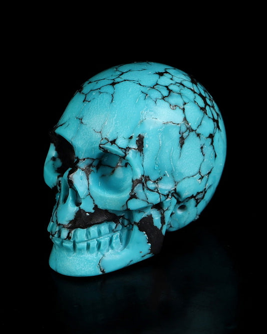 0.7" Turquoise Carved Gem Skull, Skullis Realistic - 0500073