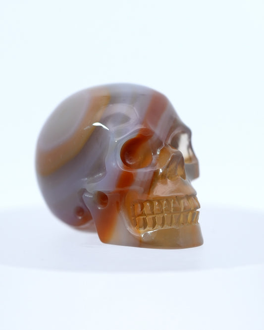 1.1"Agate Carved Gem Skull, Skullis Realistic - 0800037