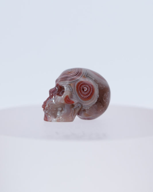 0.7" Red Crazy Lace Agate Carved Gem Skull, Skullis Realistic - 0800044