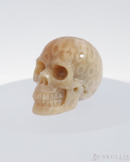 Gem Skull Of Coral Fossil Carved Realistic Tiny Gemstone