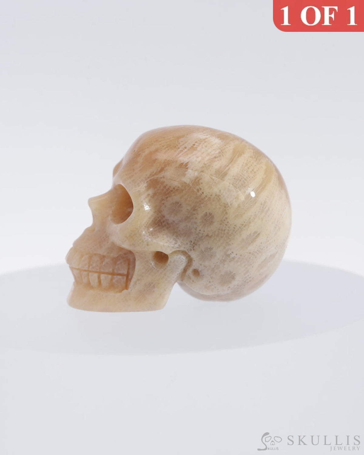 Gem Skull Of Coral Fossil Carved Realistic Tiny Gemstone