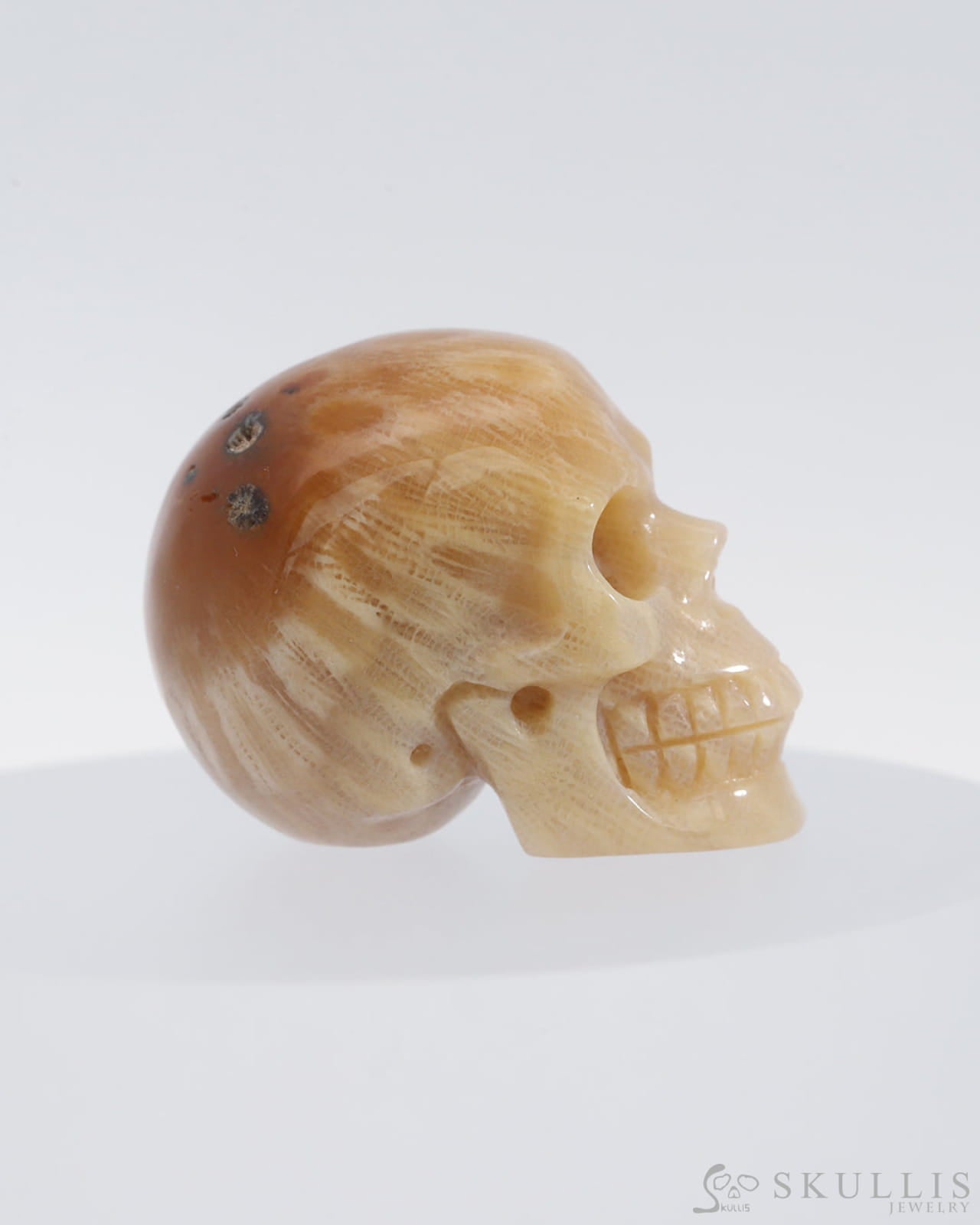 Gem Skull Of Coral Fossil Carved Realistic Tiny Gemstone