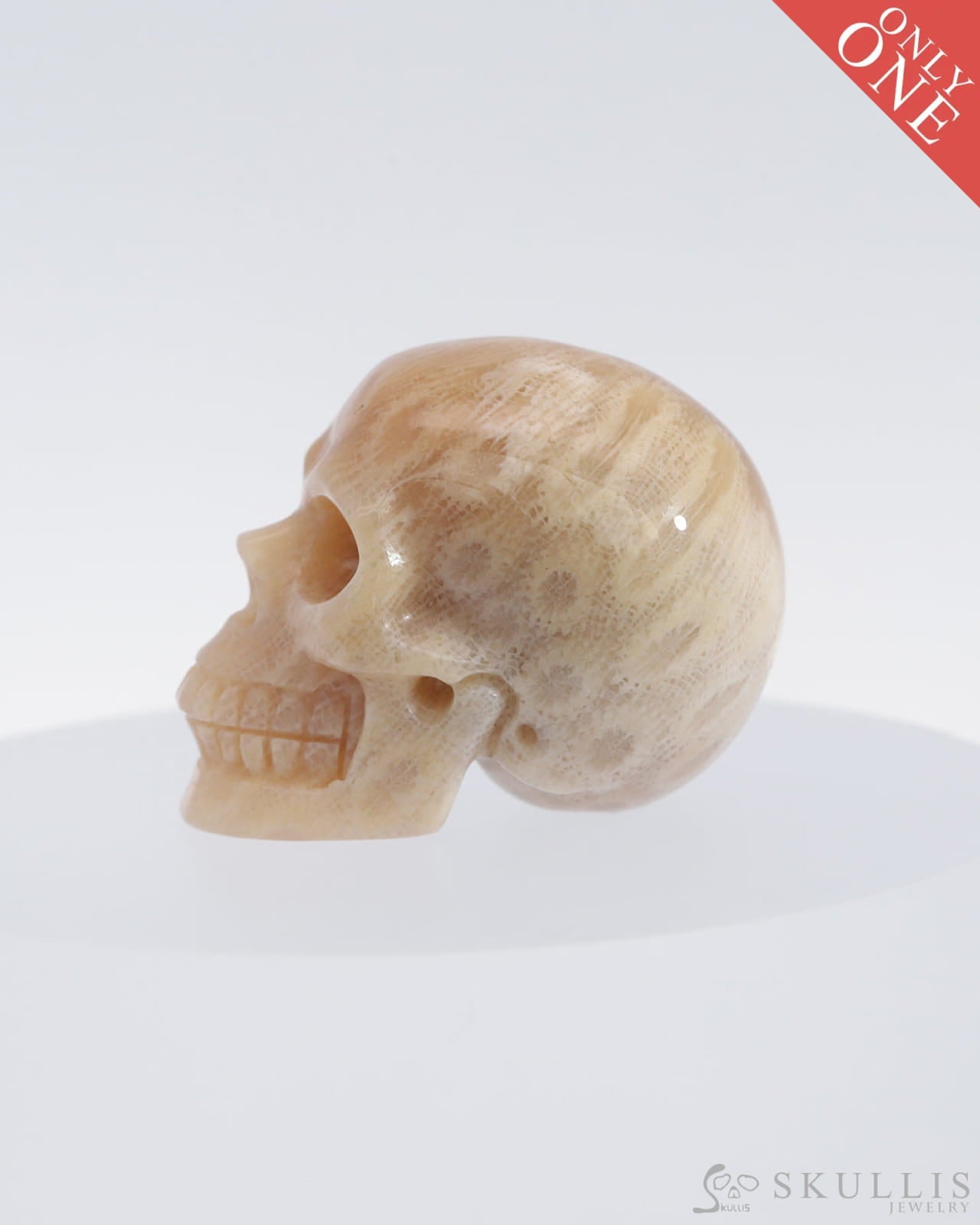 Gem Skull Of Coral Fossil Carved Realistic Tiny Gemstone