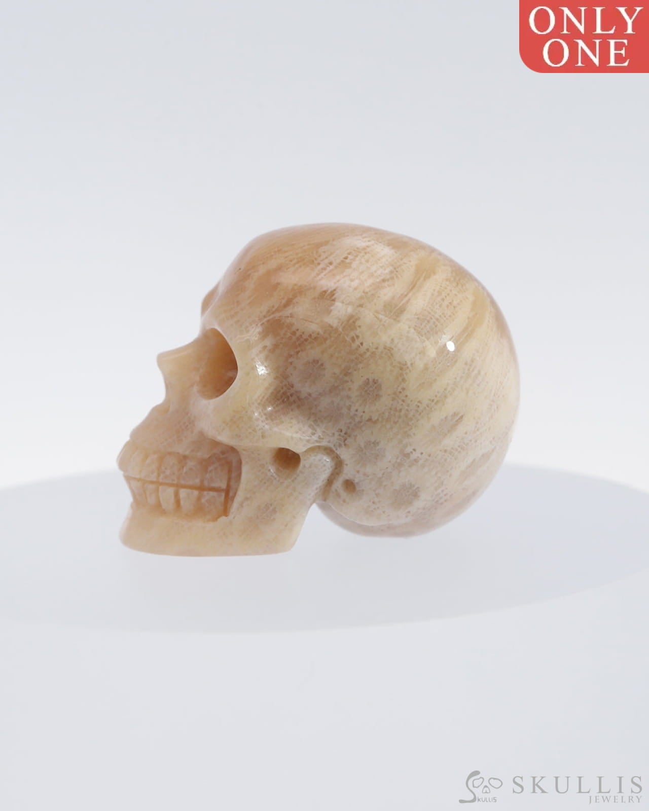 Gem Skull Of Coral Fossil Carved Realistic Tiny Gemstone