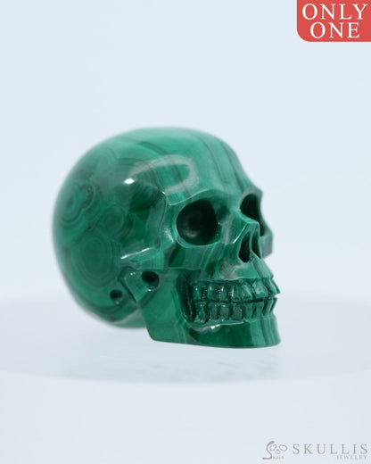 1.2’’ Malachite Carved Gem Skull Skullis Realistic - 0800039 Tiny Gemstone Skull