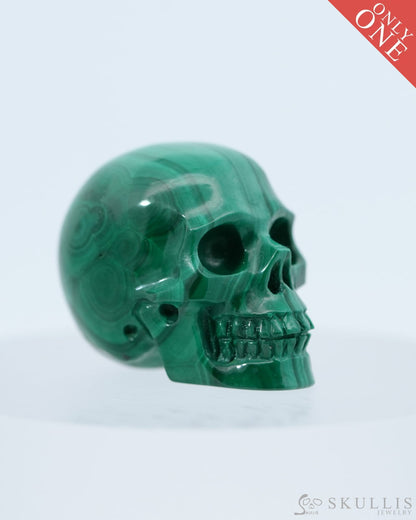 1.2’’ Malachite Carved Gem Skull Skullis Realistic - 0800039 Tiny Gemstone Skull