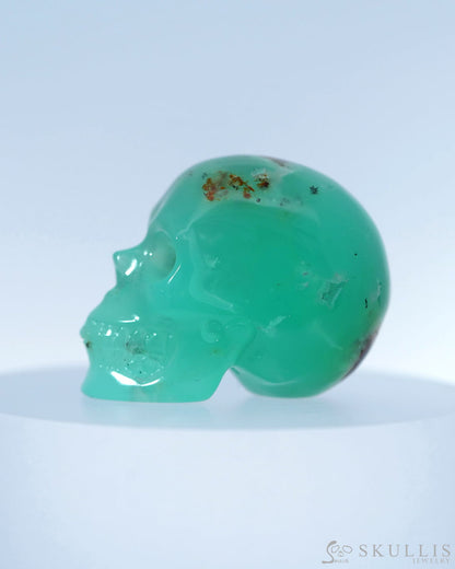 1.3’’ Chrysoprase Fluorite Carved Gem Skull Skullis Realistic - 9800090 Tiny Gemstone