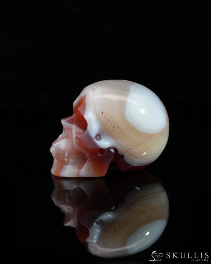 1.5’’ Mozambique Agate Carved Gem Skull Skullis Realistic - 0500045 Tiny Gemstone Skull