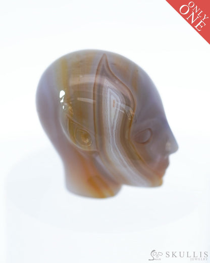 1.7’’ Agate Carved Gem Skull Skullis Realistic - 9500098 Tiny Gemstone