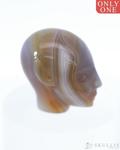 1.7’’ Agate Carved Gem Skull Skullis Realistic - 9500098 Tiny Gemstone