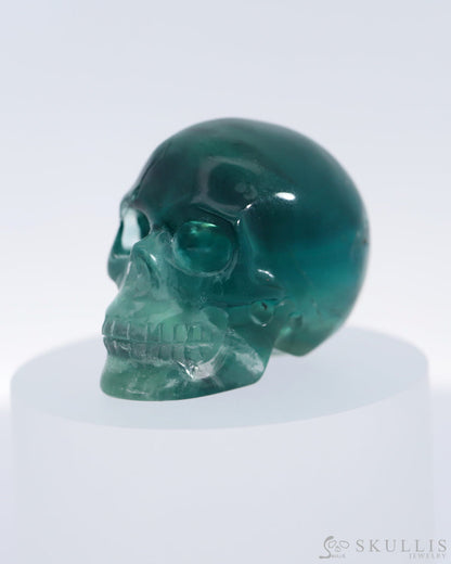 Gem Skull Of Fluorite Carved Realistic Tiny Gemstone