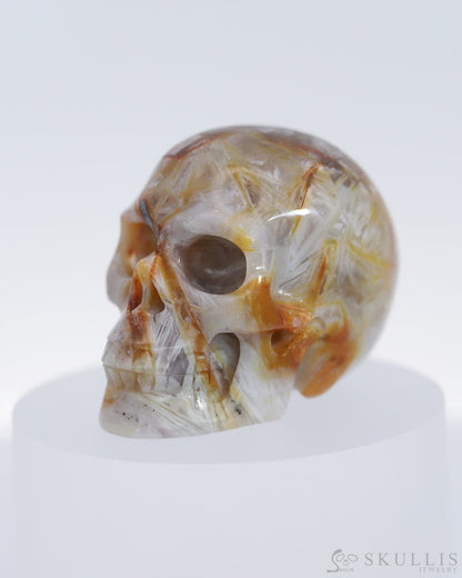 Gem Skull Of Sagenitic Agate Carved Realistic Tiny Gemstone