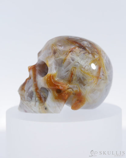 Gem Skull Of Sagenitic Agate Carved Realistic Tiny Gemstone