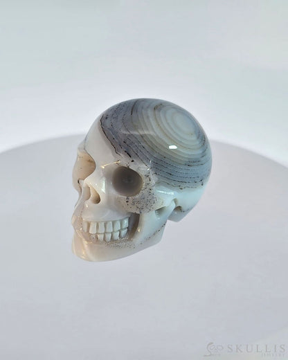 Gem Skull Of Agate Carved Realistic Tiny Gemstone