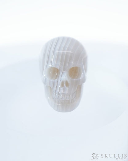 1.1’’ Agate Carved Gem Skull Skullis Realistic - 9500093 Tiny Gemstone