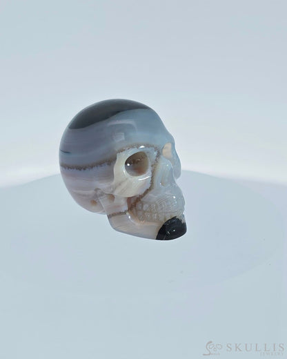 1.1’’ Agate Carved Gem Skull Skullis Realistic - 9800078 Tiny Gemstone