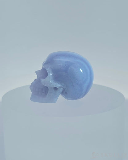 1.1’’ Blue Lace Agate Carved Gem Skull Skullis Realistic - 9800080 Tiny Gemstone