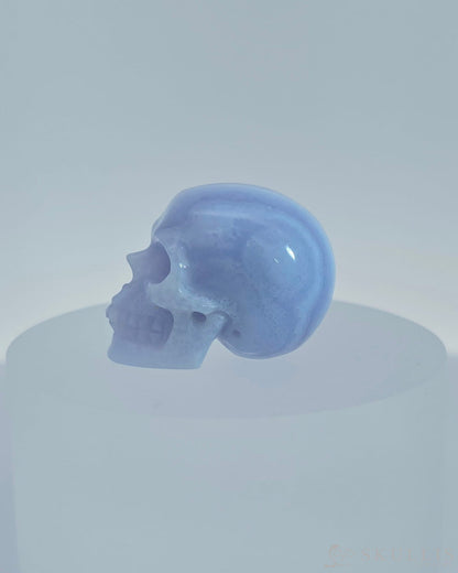 1.1’’ Blue Lace Agate Carved Gem Skull Skullis Realistic - 9800080 Tiny Gemstone