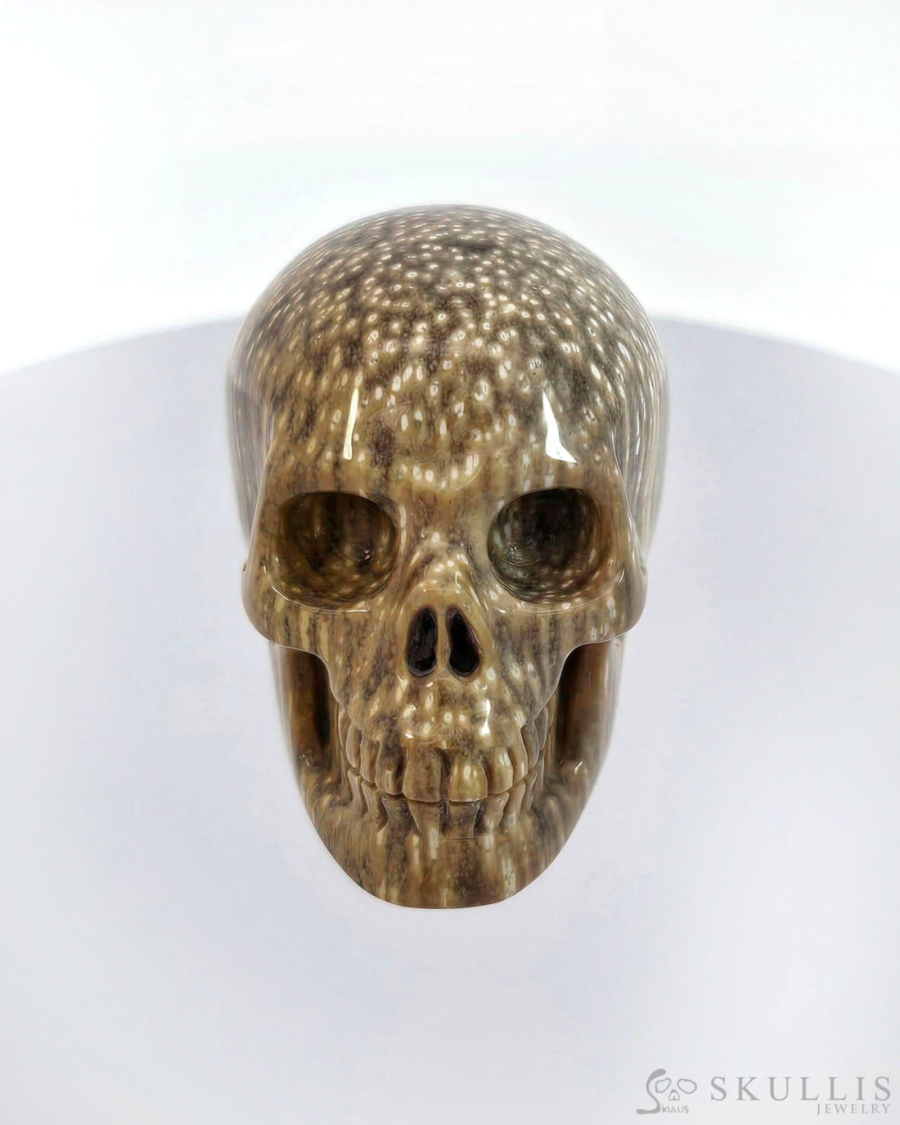 Gem Skull Of Coral Fossil Carved Realistic Tiny Gemstone