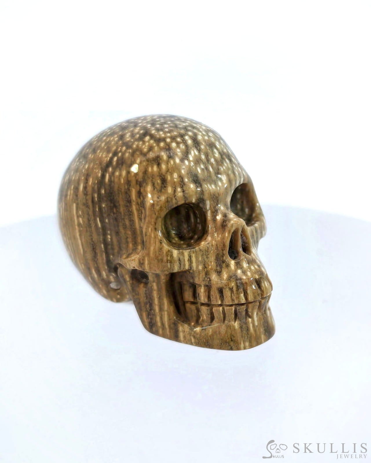 Gem Skull Of Coral Fossil Carved Realistic Tiny Gemstone