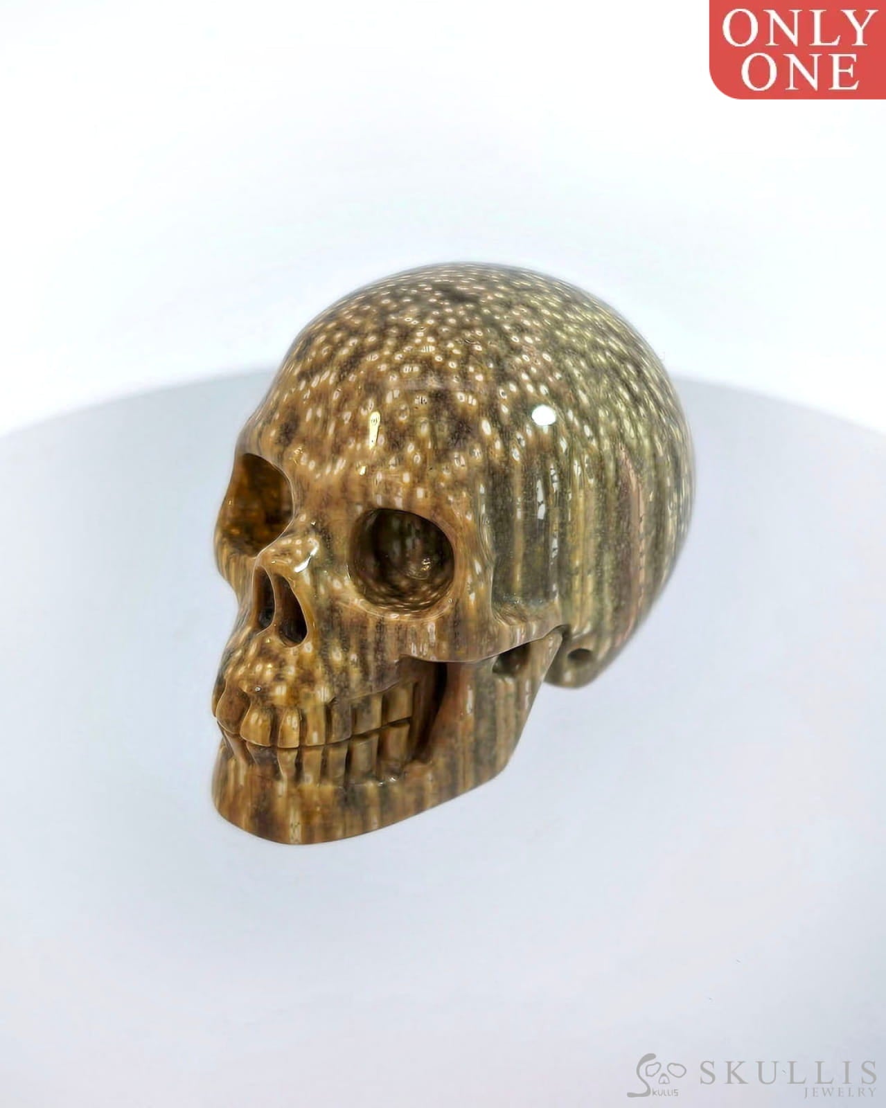 Gem Skull Of Coral Fossil Carved Realistic Tiny Gemstone