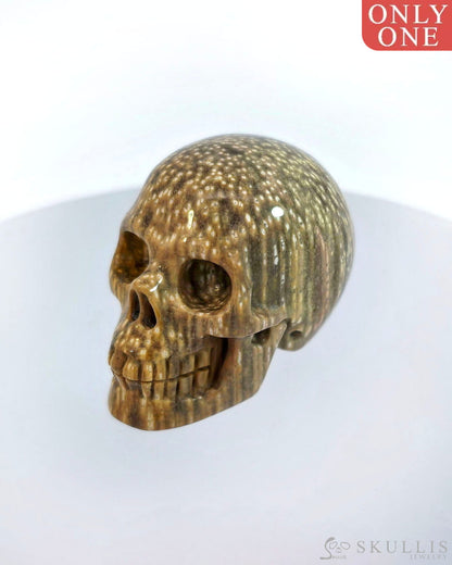 Gem Skull Of Coral Fossil Carved Realistic Tiny Gemstone